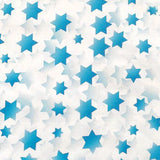 Fat Quater Bundle #108 - Blue & White Stars