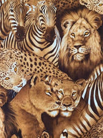 Lions Eyes