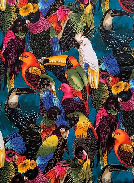 Birds of a Feather