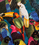 Birds of a Feather