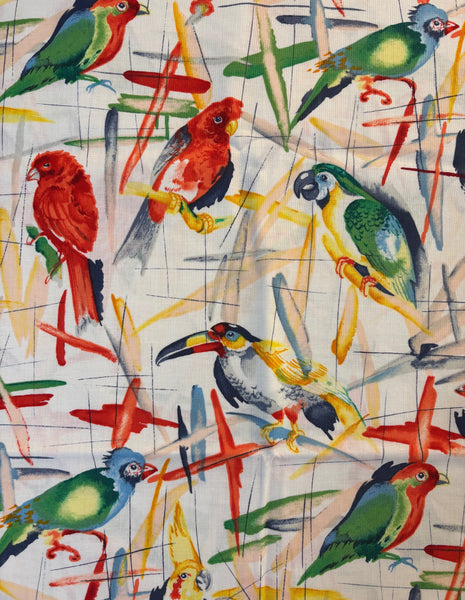 Bird Watchers - 3-1/4 YDS