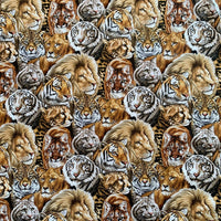 Big Cats