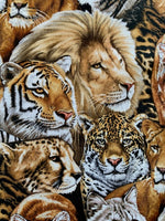 Big Cats