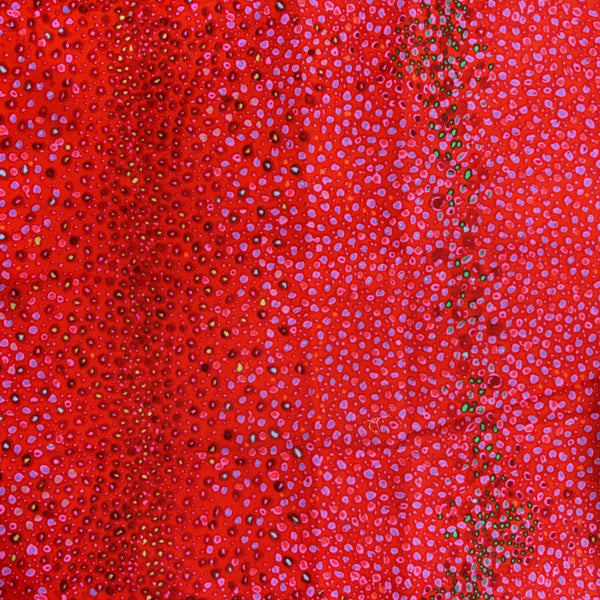 Kaffe Fassett- 1/4 YD