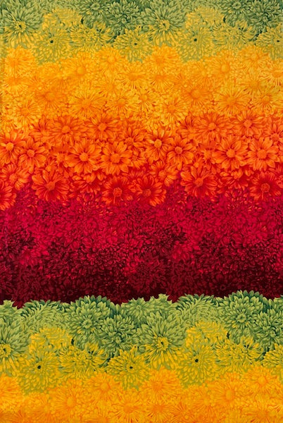 Flower of the month - Chrysanthemum