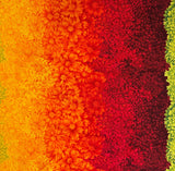 Flower of the month - Chrysanthemum