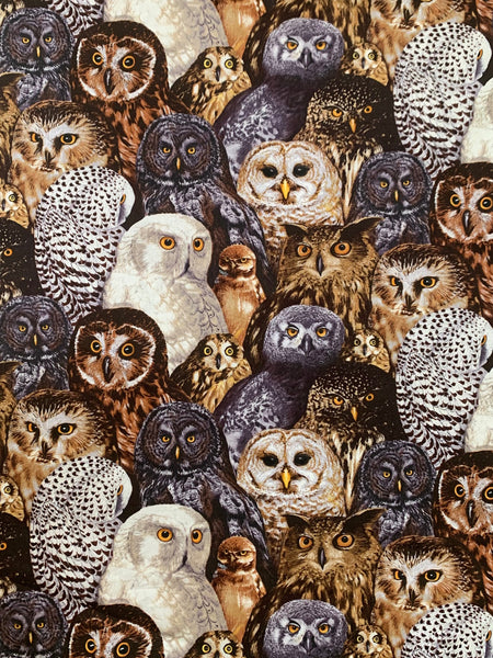 Owls