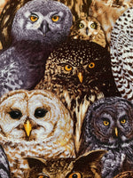 Owls