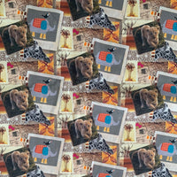 Safari Foto - 5-2/3 YDS