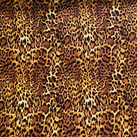 Cheetah Skin