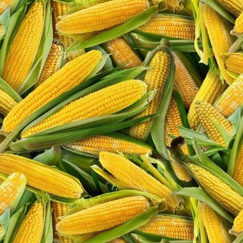 Corn on the Cobb - 8 YDS