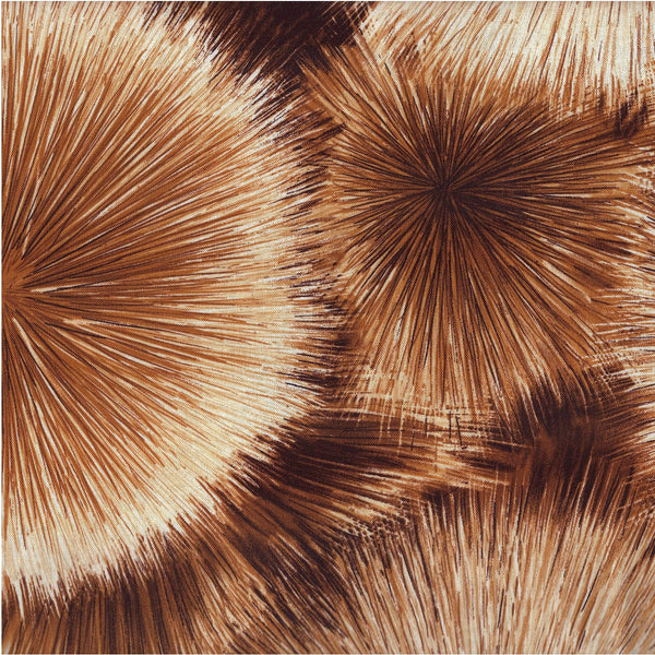 Radiant - 6-1/2 YDS
