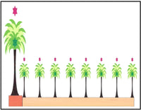 Hanukkah Greeting Card - Palm Tree Menorah